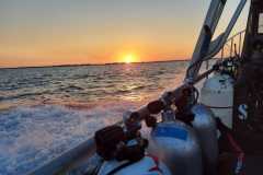 494810647_10229478671530962_1151458854502408985_n