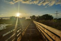 signal-2025-08-31-16-39-39-6156725199044551648835