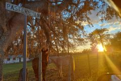 signal-2025-08-31-16-40-55-4162857708182213132334