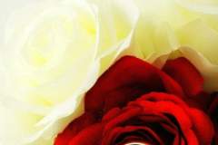 FB_IMG_1695917504908